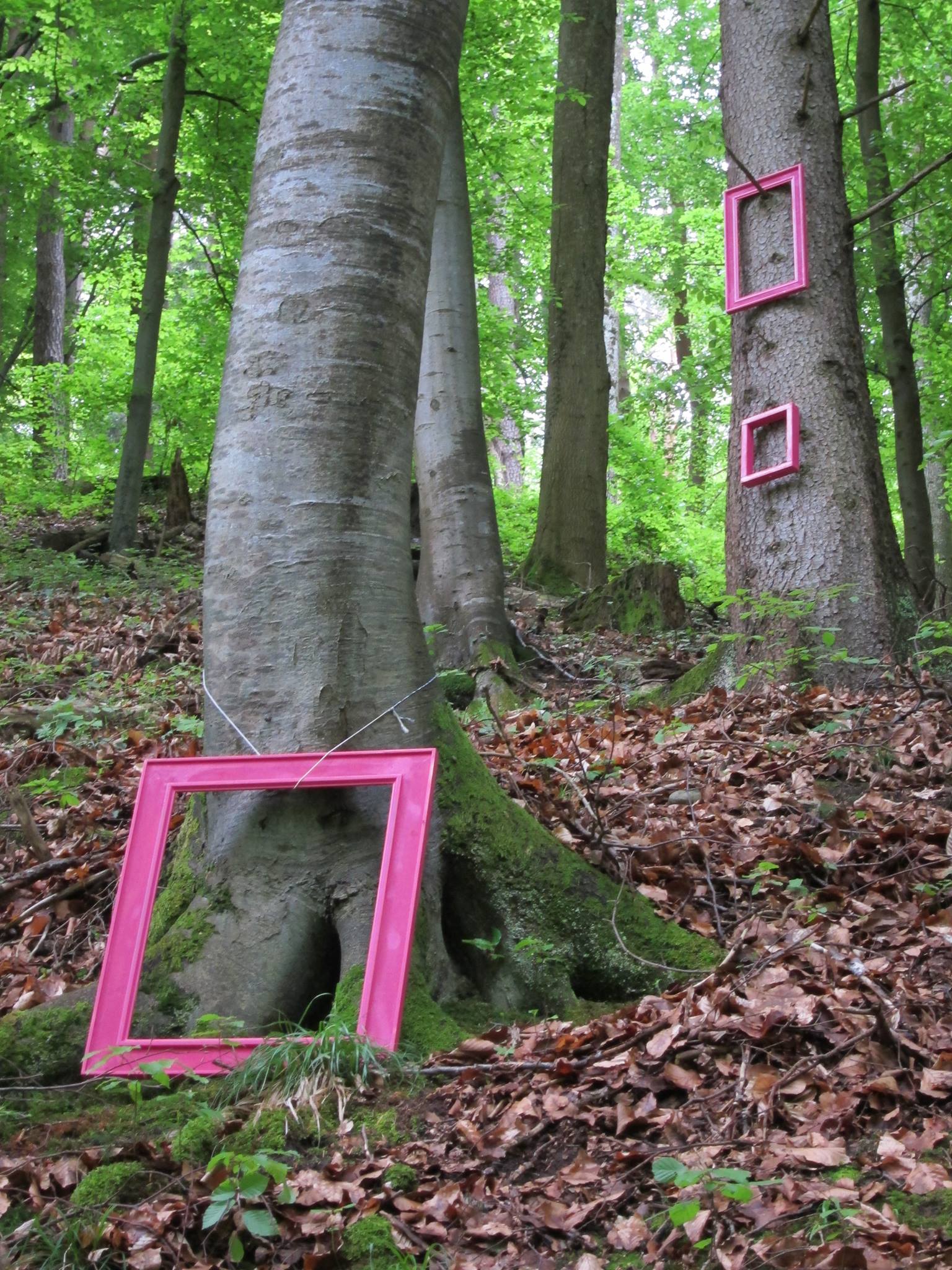 Durchblicke
