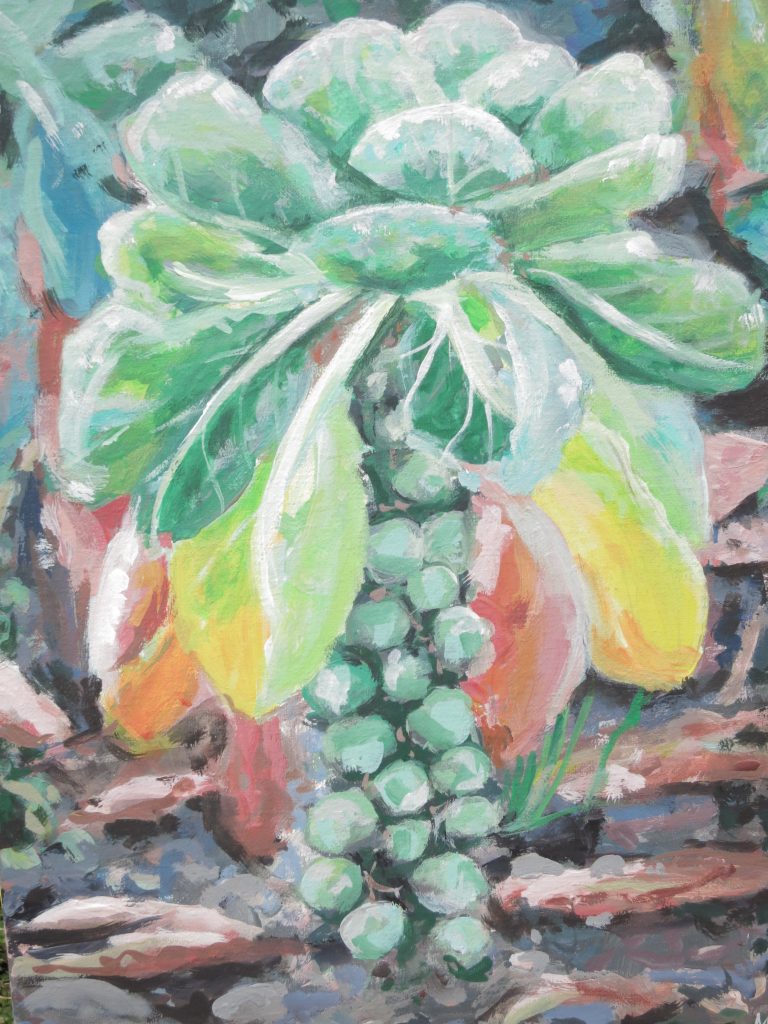 Rosenkohl