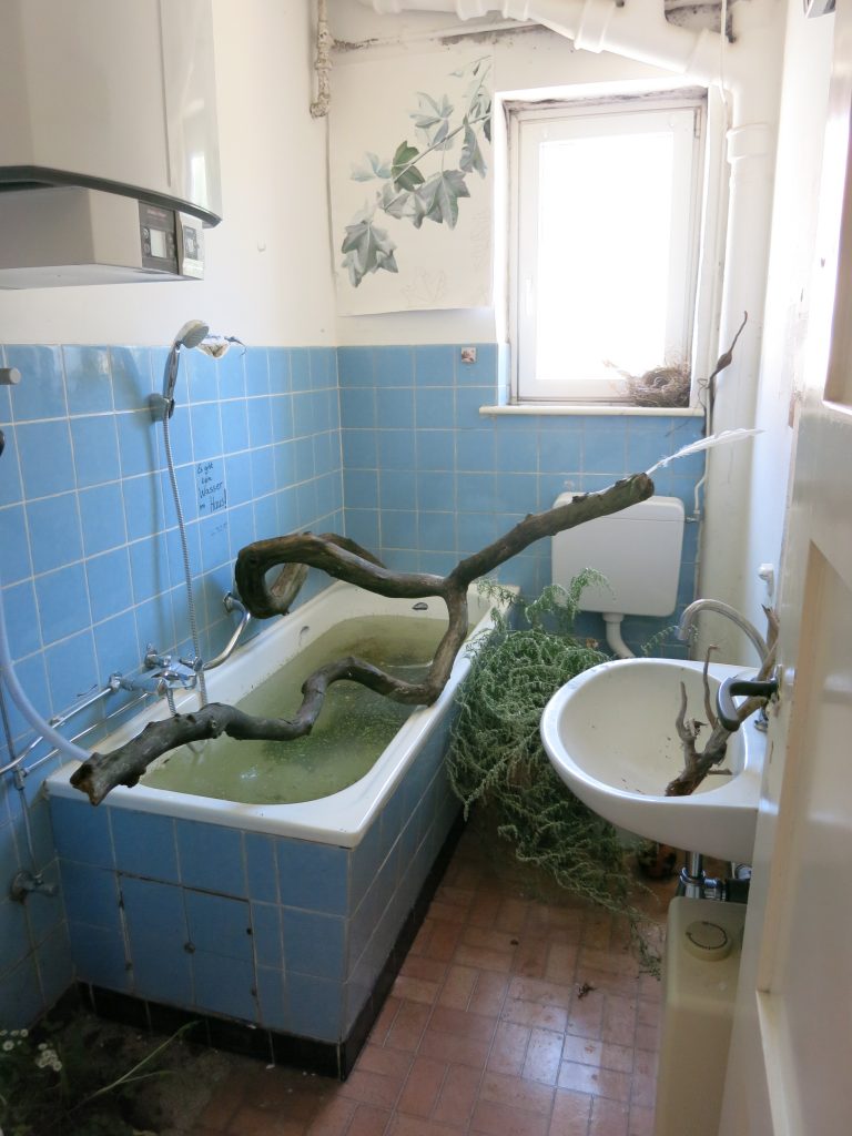 arte romeias zurück zur Natur