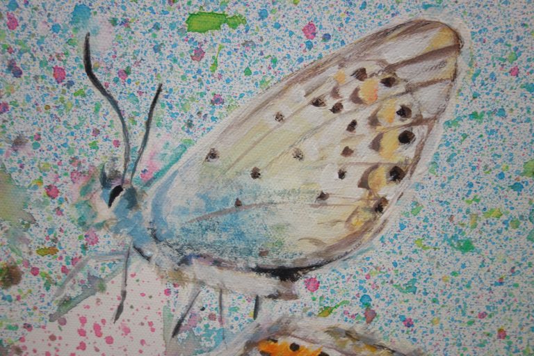 Detail Schmetterling Gemeinschaftsprojekt artligg