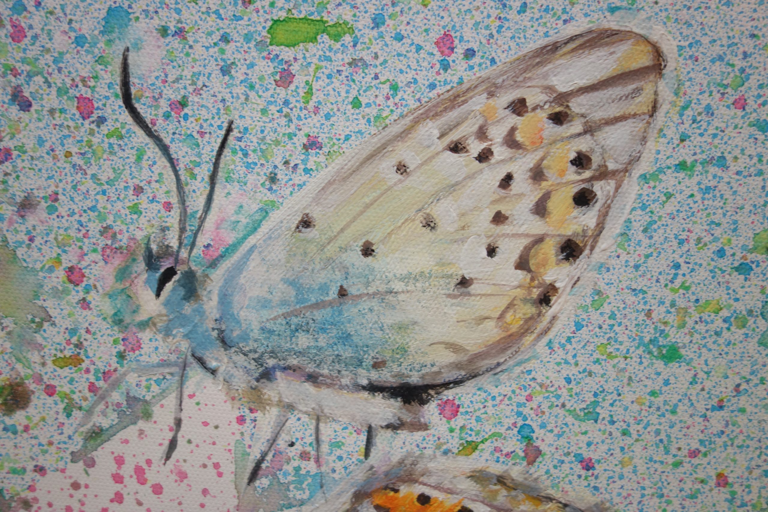 Detail Schmetterling Gemeinschaftsprojekt artligg